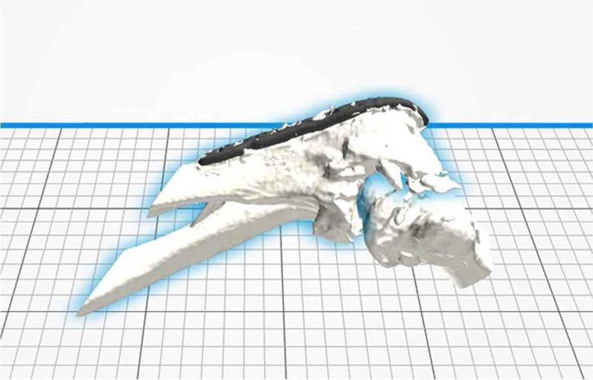 3D tisk 2
