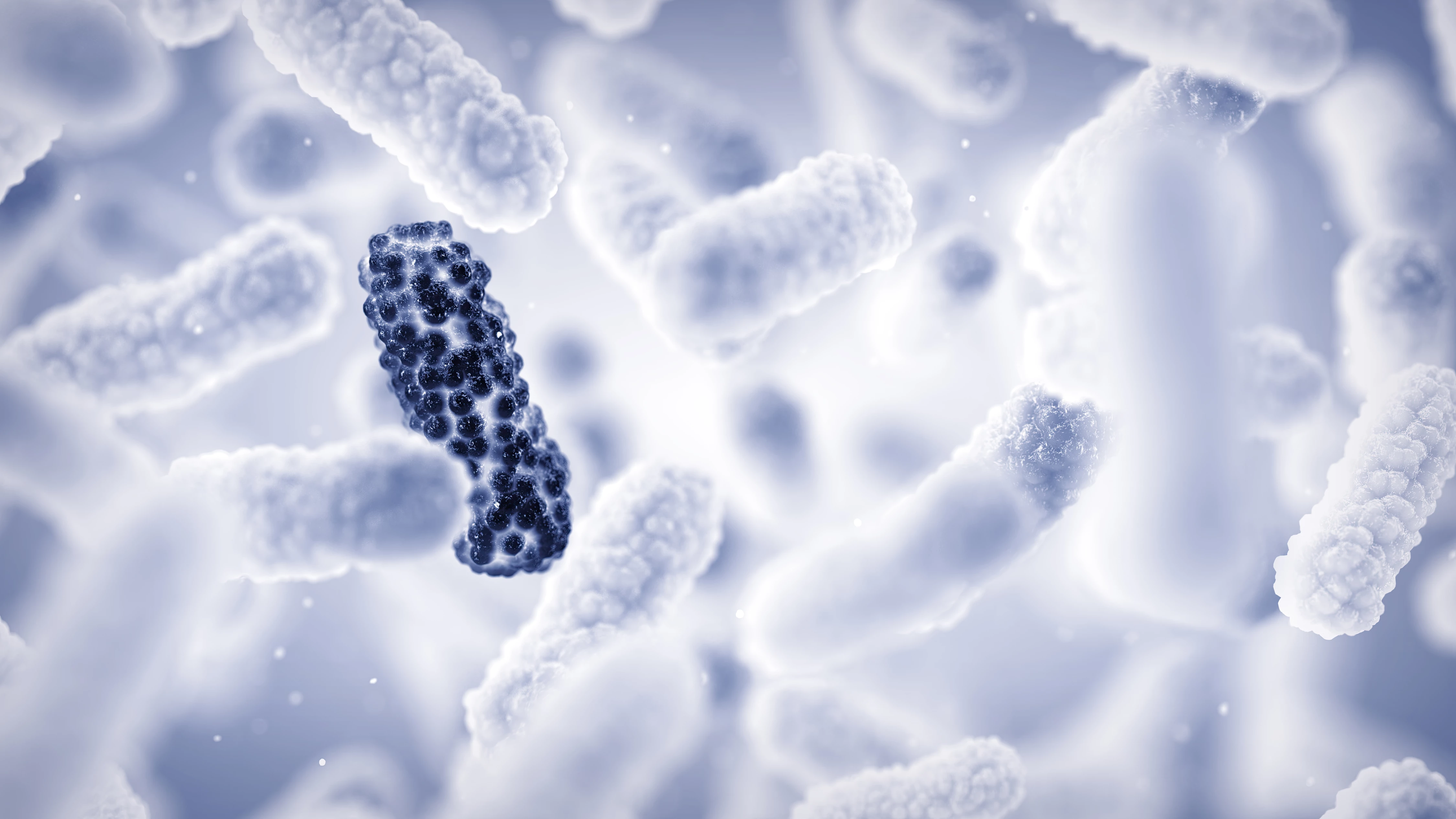 Co obsahují nové pokyny WHO pro dozor nad antibiotickou rezistencí?