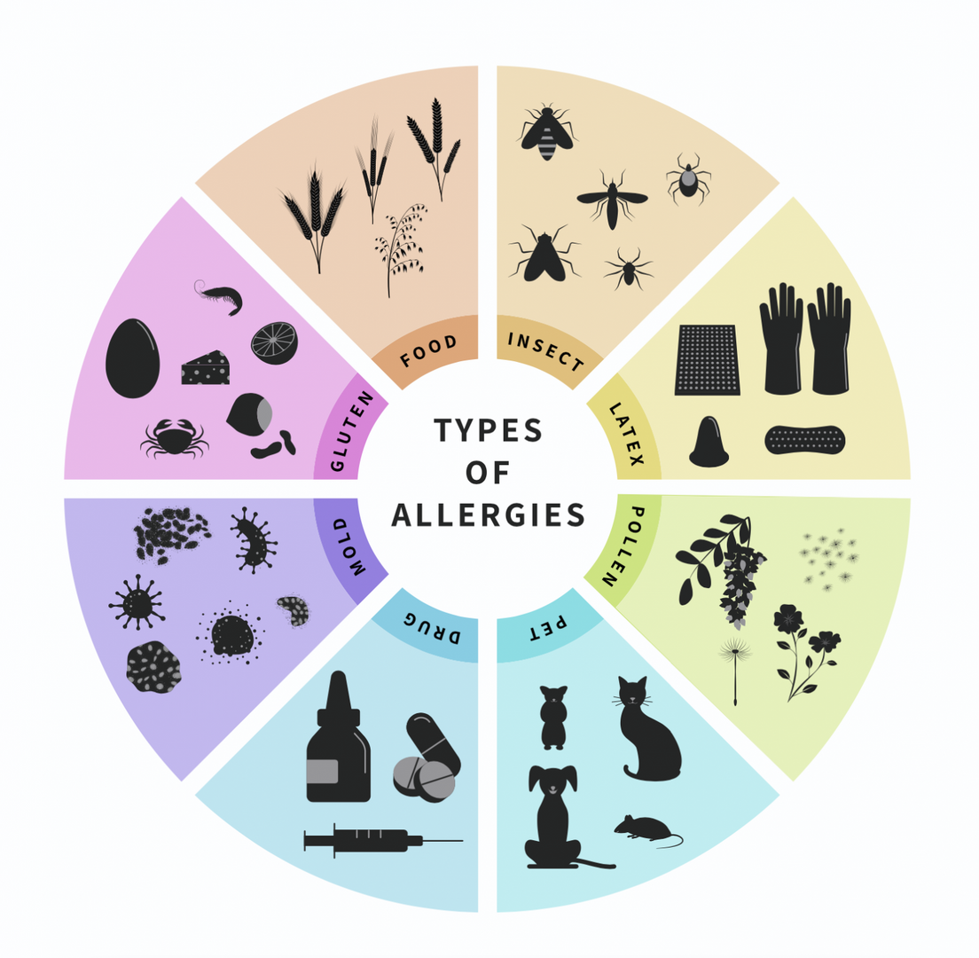 infografika alergeny