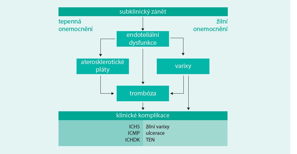 Schéma. Společné mechanizmy vzniku aterosklerotického procesu a žilních onemocnění ICHS – ischemická choroba srdeční ICHDK – ischemická choroba dolních končetin ICMP – ischemické cévní mozkové příhody TEN – tromboembolická nemoc