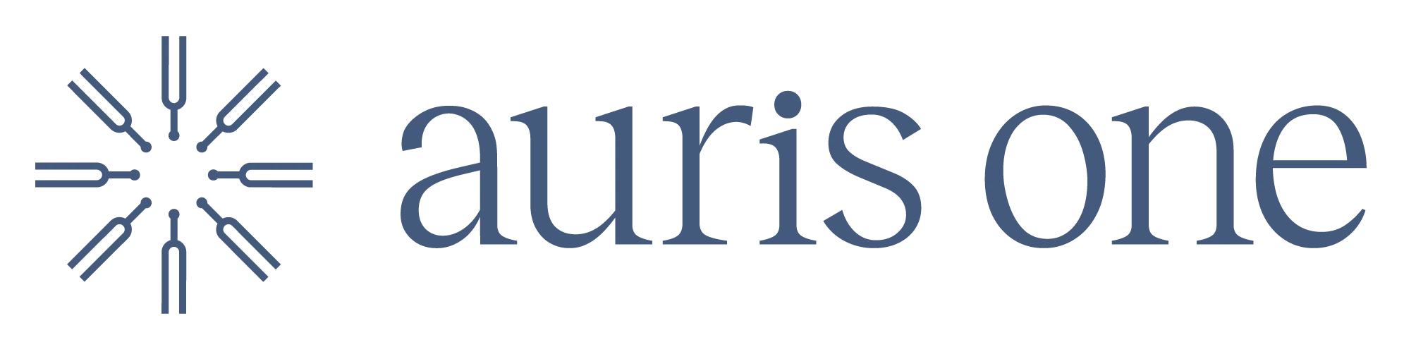 Auris One