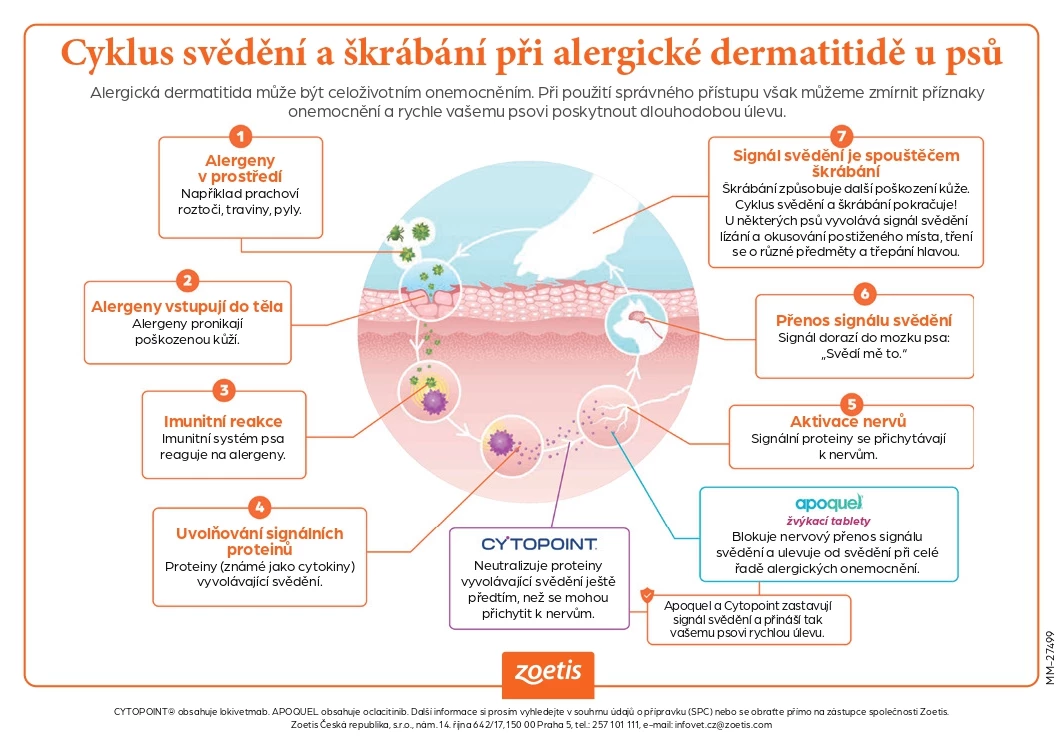 Infografika Zoetis 32763 obr. 3